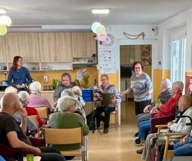 Vystupenie_harmonika